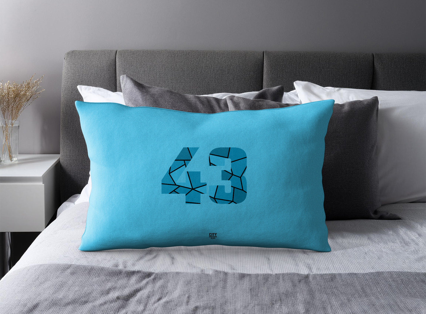 PDP 43 Number Pillow Case and Pillow Throw (Sky Blue)