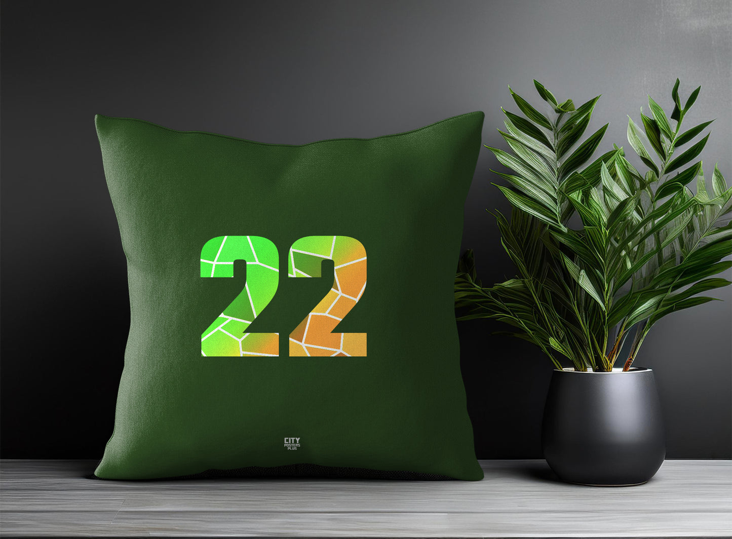 22 Number Pillow Case (Olive Green)