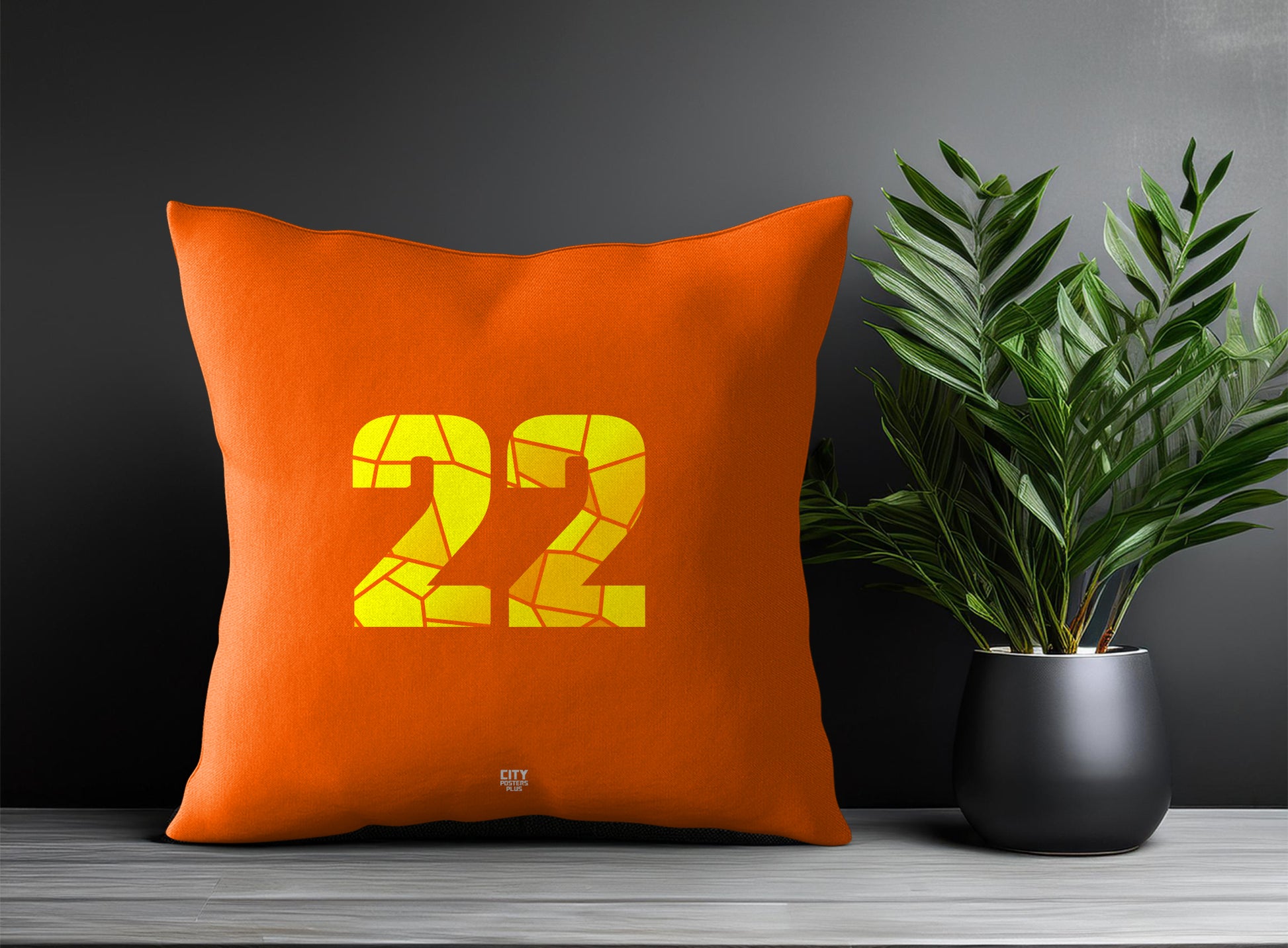 22 Number Pillow Case (Orange)