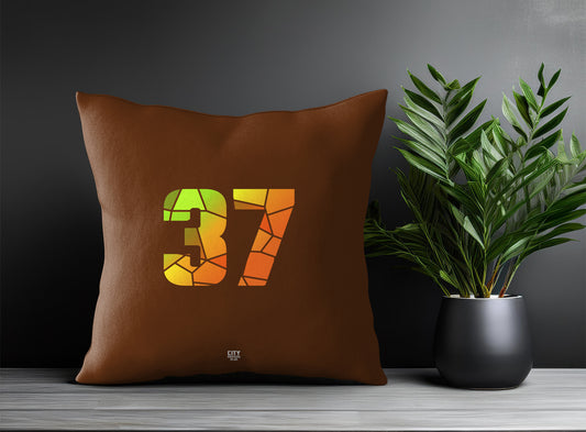 37 Number Pillow Case (Brown)