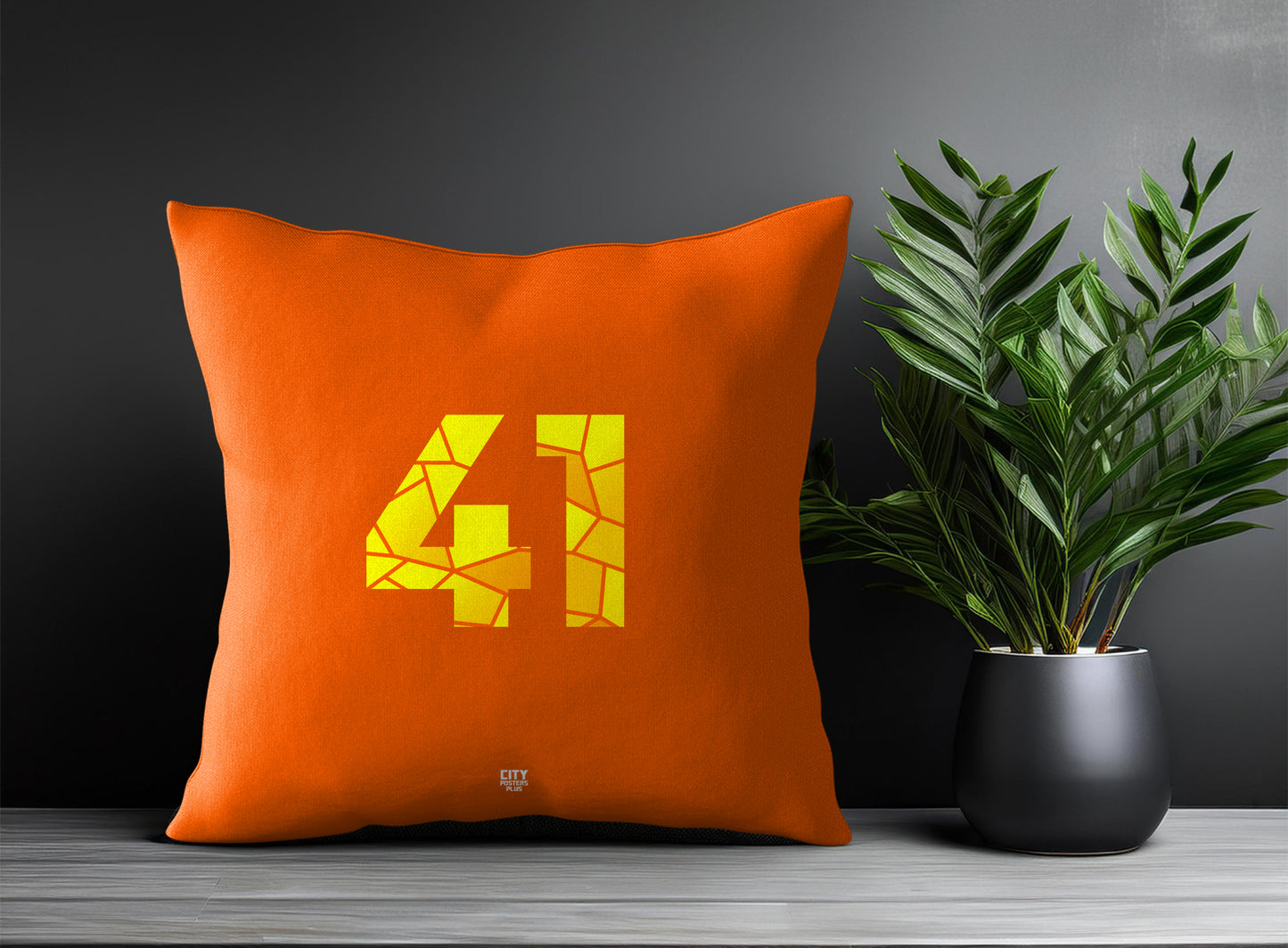 41 Number Pillow Case (Orange)