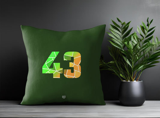 43 Number Pillow Case (Olive Green)