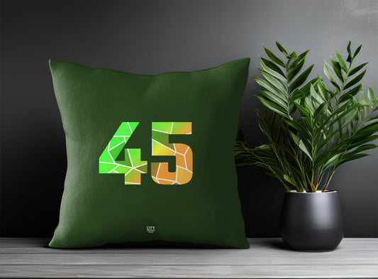 45 Number Pillow Case (Olive Green)